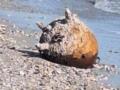 На Одесчине уничтожили российскую морскую мину