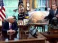 Трамп официально анонсировал создание системы Золотой купол