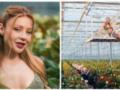 Тина Кароль со стальным прессом в экстра-мини очаровала гибкостью на съемках клипа в теплице