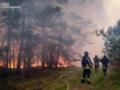 На Харьковщине локализовали масштабный лесной пожар