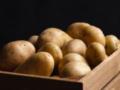 Россия впервые начала покупать картофель в Монголии из-за дефицита