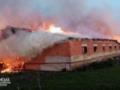 На Сумщине погибли сотни домашних животных из-за атаки РФ