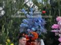 Звезда  Лиги смеха  Фима Константиновский показал, как под открытым небом отгулял свадьбу со своей женой