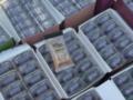 В посылках из Германии: раскрыта сеть поставок наркотиков в Украину