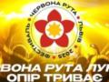 Фестиваль  Червона рута - 2025  пройдет в стратегическом партнерстве с Движением сопротивления ССО ВСУ