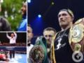 Не Дюбуа. Белью назвал супертяжа, который станет  новым Усиком 