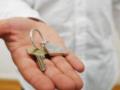 Обстрелы изменили предпочтения украинцев: на какие квартиры теперь  охотятся  на рынке недвижимости