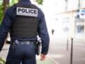 Во Франции полиция вторые сутки ищет удава, который сбежал из террариума