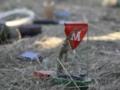 Украина выходит из конвенции о запрете противопехотных мин — депутат ВРУ