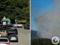 В США снайпер открыл огонь по пожарным, которые приехали тушить лесной пожар: есть погибшие