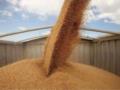 Украину избрали в Совет Продовольственной программы ООН
