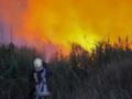 Масштабные пожары в Одесской области: более 70 возгораний и жертвы среди населения