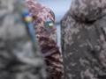 Курсант расстрелял военнослужащих ВСУ на полигоне