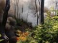Війна: день 1246. Зеленський пообіцяв  усі норми для незалежності антикорупційних інституцій  з новим  законопроєктом