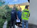 Житель Закарпатья незаконно завладел землей на полонине Драгобрат