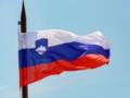 Словения запретила торговлю оружием с Израилем