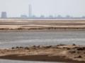 МАГАТЭ заявило о проблемах с водой на Запорожской АЭС