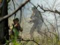 Прорыв под Добропольем: в ВСУ объяснили ситуацию