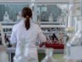 Украинские ученые впервые получили сперматозоиды из стволовых клеток