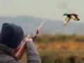 В Черкассах просят открыть охотничий сезон