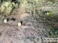 В Харьковской области двое детей подорвались на неизвестном предмете