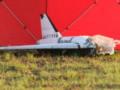 Россия готовила дроновые атаки на Польшу с июля: в Defense Express раскрыли подробности