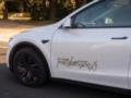 Tesla скрывает большинство деталей о авариях Robotaxi - СМИ