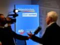 В Германии пророссийская партия AfD стала популярнее партии Мерца - СМИ