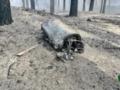 На Черкащине из-за российских ракет повреждено почти 6 гектаров леса