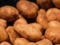 У стен Европарламента начали продавать картофель: сколько стоит 1 килограмм