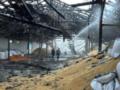 Российские дроны атаковали аграрное предприятие в Черниговской области
