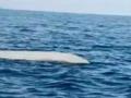 У берегов Турции обнаружили морской дрон