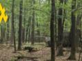 Партизаны помогли сорвать наступление РФ под Волчанском