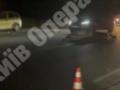 Под Киевом автомобиль сбил лося