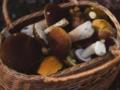 Белые, лисички, маслята: рассказываем, как правильно чистить грибы