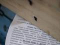Могут ли украинцам вручать повестки за границей: подробное объяснение