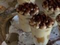 Чернослив с орехами в сметане: рецепт вкусного и легкого домашнего десерта