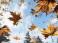 Теплая осень в разгаре, но есть нюансы: синоптики сказали, какой погоды ожидать в понедельник