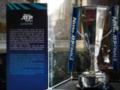 ATP назвала размер призовых Итогового турнира года