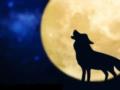 Волчий месяц 2026: что означает самое мощное астрологическое событие января