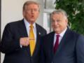 Трамп  не беспокоится  из-за поражения Орбана