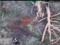 Военные показали уничтожение оккупантов на Сумщине