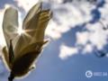 В Украине потеплеет до +24 градусов, но есть нюанс: когда ждать нового похолодания