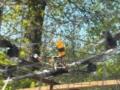 В Донецкой области россияне атаковали дроном спасателей, которые проводили