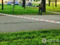 В Днепре взорвалась припаркованная машина, ранены 2 человека