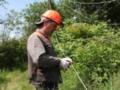 В одной из областей Украины сетевые ограничения