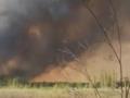 Лесной пожар в Черниговской области охватил 4,3 тыс. гектаров и распространился в сторону России