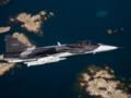 Украинские пилоты уже проходят обучение на Gripen - министр обороны Швеции