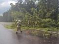 В Польше торнадо повредило почти 20 зданий