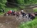 В Черновицкой области оборвался мост через реку, на котором находились более 30 детей: есть пострадавшие